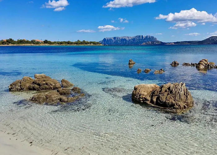 Beachside For A Relaxing Lägenhet