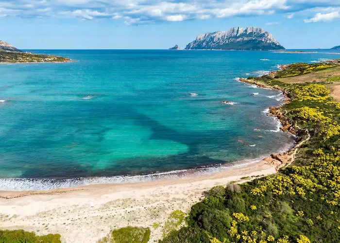 Beachside For A Relaxing * Olbia